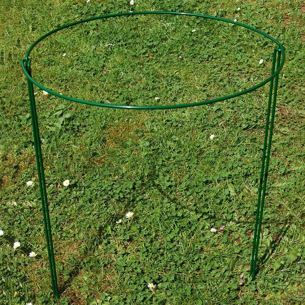 Опора для сада 2 шт. опора для садового растения s кольцо опора для растений кольцо с клеткой для цветов розы