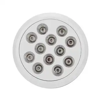 

24W LED Photon Therapy Light Skin Rejuvenation Body Pain Relief Bulb