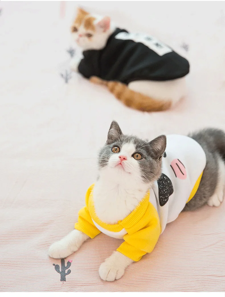 Snailhouse/Милая забавная Одежда для кошек; Модный весенне-осенний свитер с изображением котенка; тонкая одежда для отдыха; повседневная одежда для домашних животных