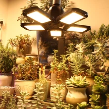 

XRYL 300W E27 Full Spectrum Warm White New Design Indoor Seedlings Flower Grow Tent Hydroponic Plants Grow Light LED Phyto Lamp