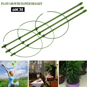 

Vine Climbing Rack 60cm Vines Climbing Fruits Durable Tomatoes Diy Creative Vegetables Gardening Tools Tomato Plants Eggplants