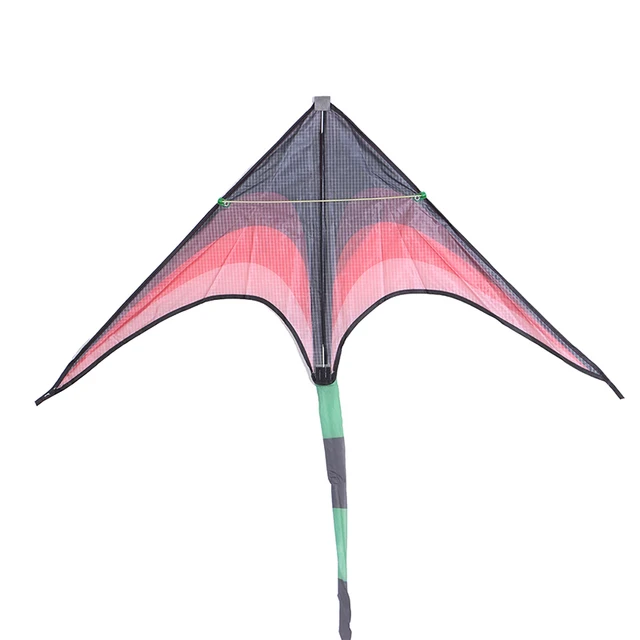 1pc Outdoor Toys Large Delta Kites Tails With Handle For Children Kites Nylon Kite Color Random 4