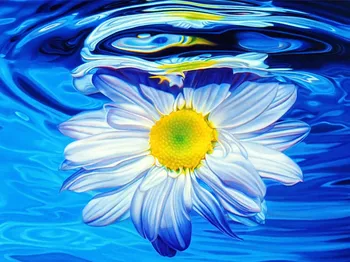 

DIY Painting By Numbers Wild Chrysanthemum Hand Made Paint High Quality Canvas Beautiful Painting By Numbers Surprise Gift