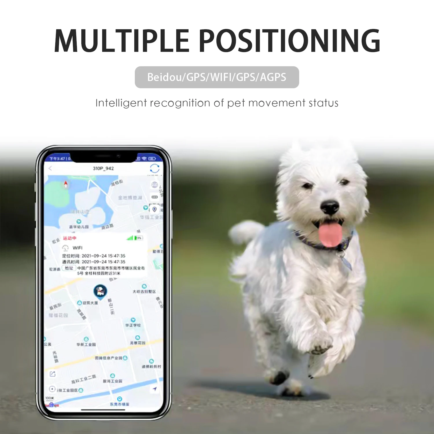 IP67 Waterproof Pet Collar GSM AGPS Wifi LBS Mini Light GPS Tracker for Pets Dogs Cats Cattle Sheep Tracking Locator