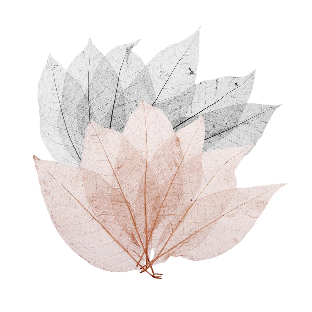 100pcs Magnolia Skeleton Leaf Leaves Scrapbooking Embellishment Black Coffee