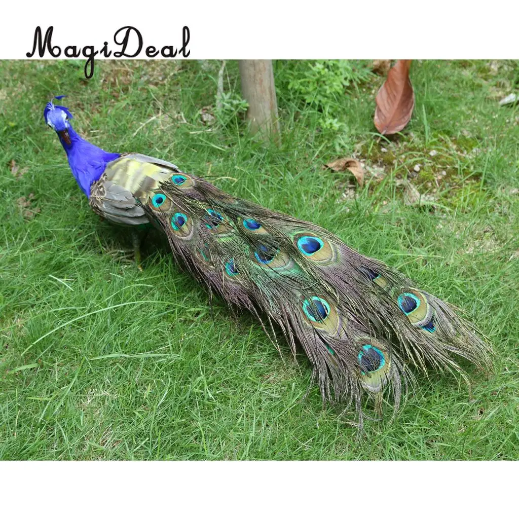 MagiDeal long tail beautiful feathered artificial peacock bird model large 50cm peacock handicraft prop home garden decoration
