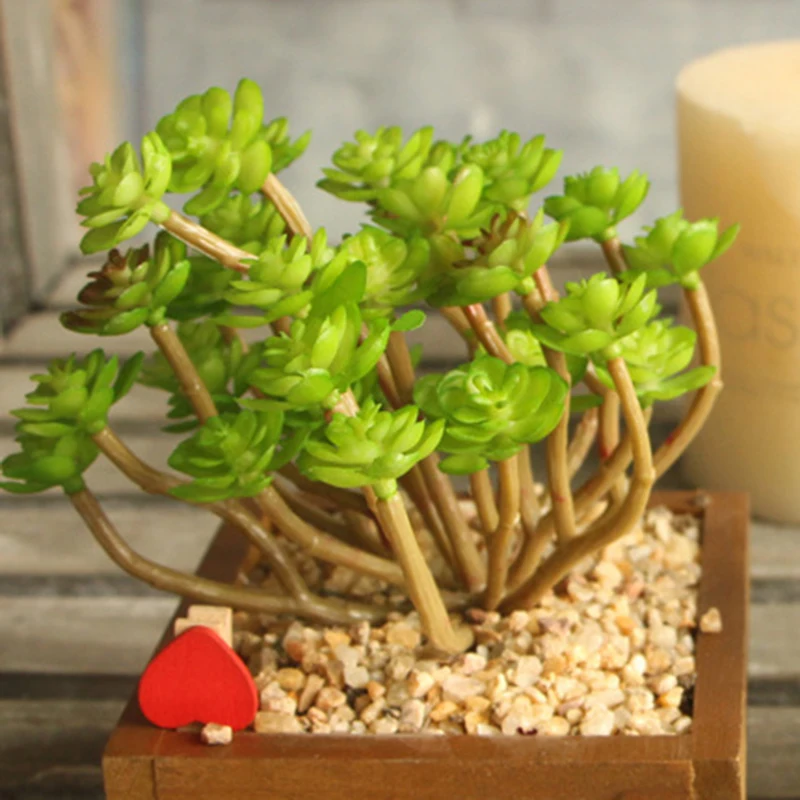 Office Desk Table Display Artificial Succulent Plant Fake Indoor Outdoor Decor