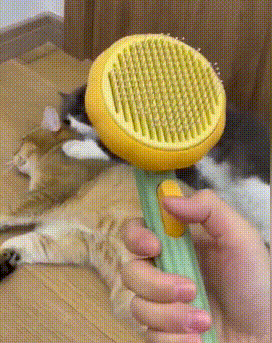 Cat Brush Comb Pet Pumpkin Comb For Dogs Cats Dog Hair Remover Brush Pet  Hair Shedding Self Cleaning Comb Pet Grooming Tools|Dog Combs| - AliExpress