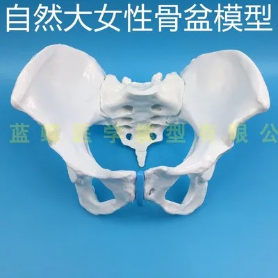O1CN01NdepBD1r1YySJXpqr_!!366265571.jpg_400x400