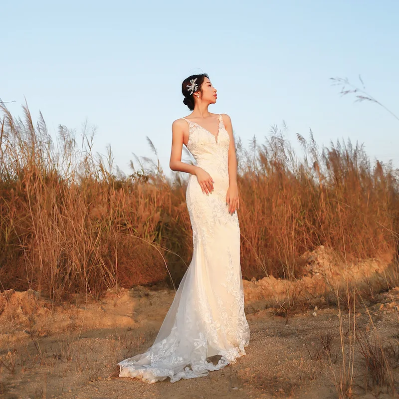 

BGW 2282ht Sexy V Neck Lace Beach Appliqued Wedding Dresses Sleeveless Backless 2020 New Boho Bridal Frocks Wedding Robes