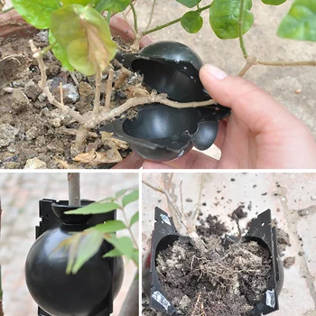 

Hot Sale 3pcs Plant Rooting Ball Grafting Rooting Growing Box Breeding Case Plant Rooting Device High Pressure Box For Garden
