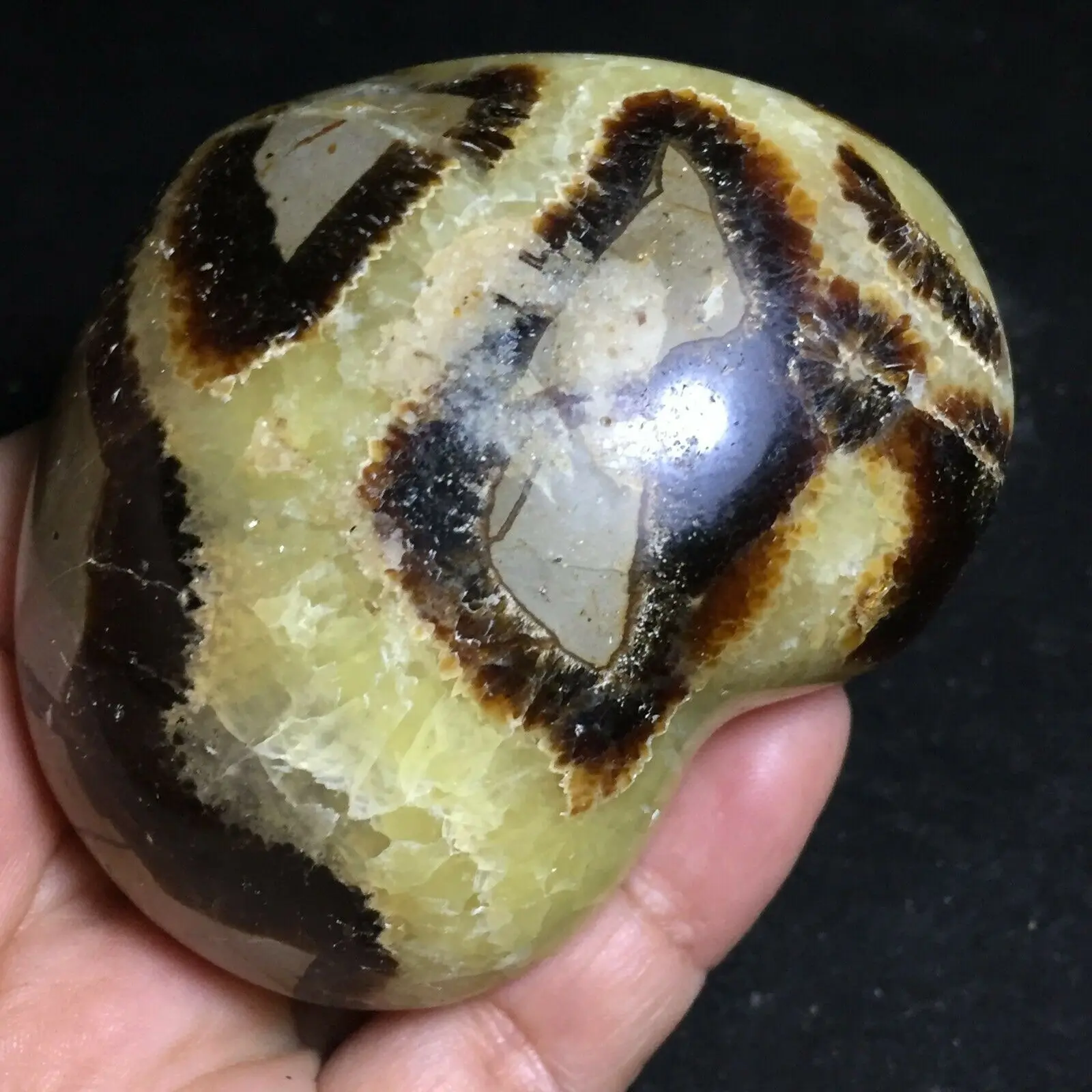 Natural turtleback stone heart shaped gem healing | Дом и сад