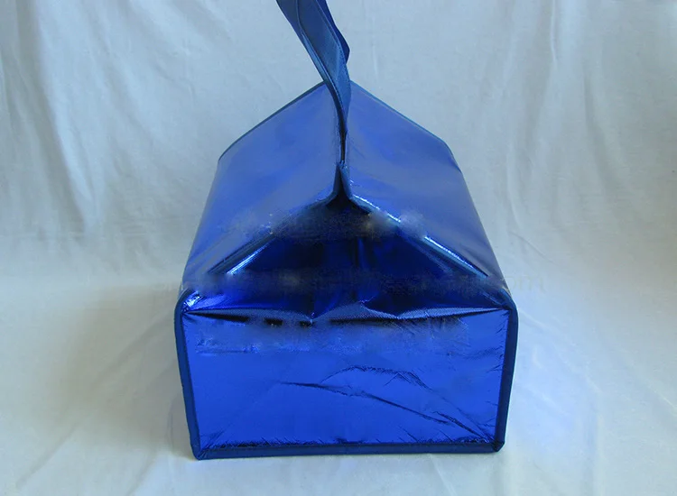 6-8-10 дюймов изолированная сумка-холодильник для пикника Сумки Торт Пицца Ланч-бокс для пикника изолированные крутые сумки ледяной пакет термо портативный изоляционный мешок smlg9