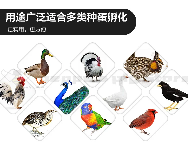 

Chicken Egg Incubator China Intelligent temperature control system for Chickens Ducks Goose Birds Quail Incubadora Couveuse