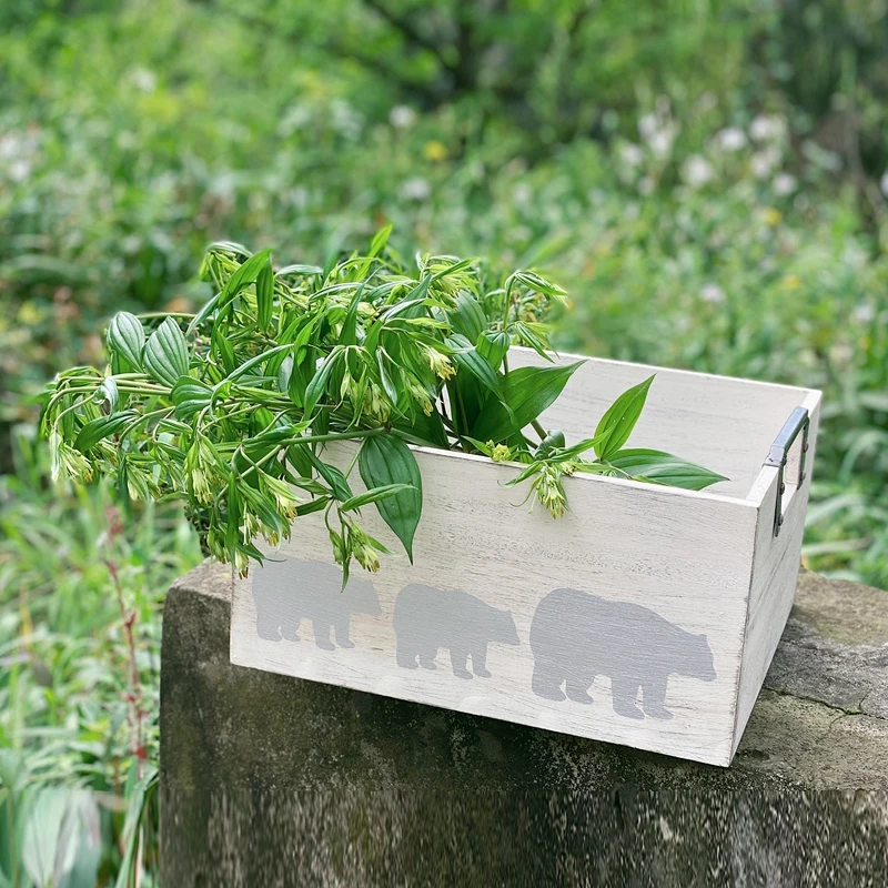

rectangle bear print white retro antique small wooden boxes