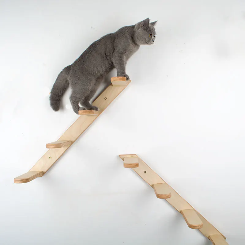 ladder_21