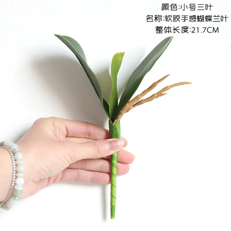 微信截图_20200409191917