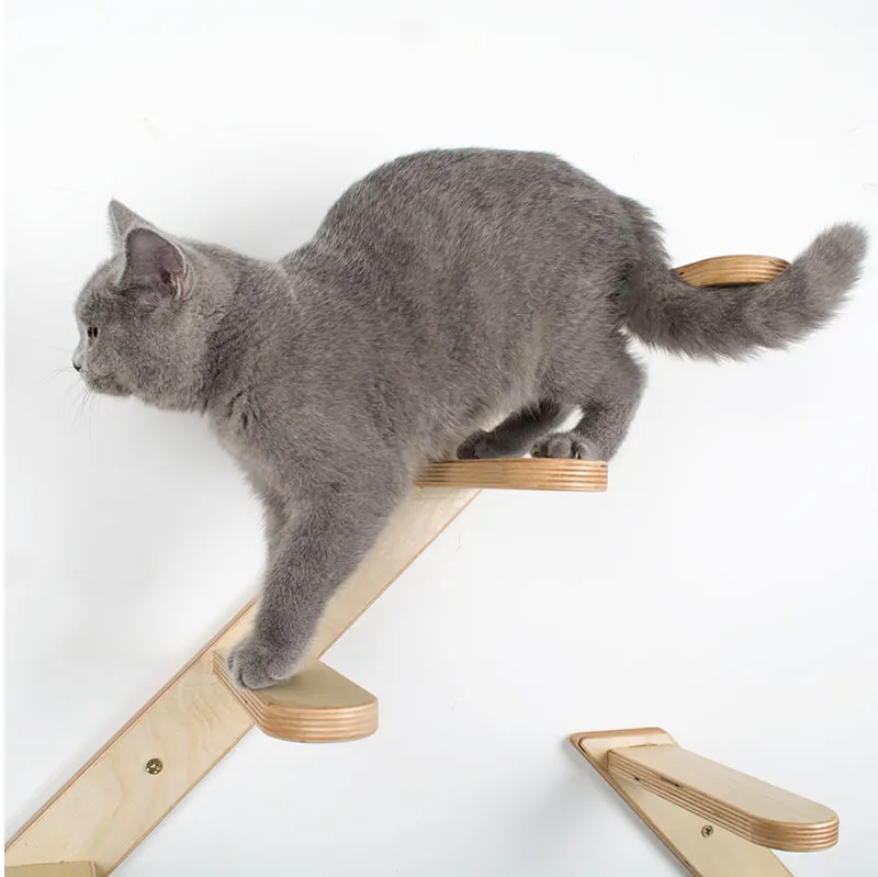 ladder_29