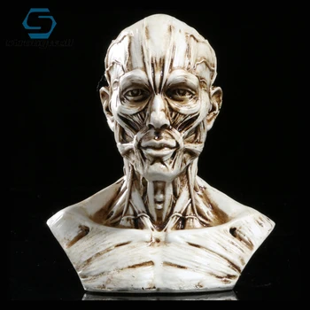

Strongwell Sketch Simulation Head Mannequin Skull Decoration Skull Decor Resin Skull Home Decoration Halloween Art Teaching