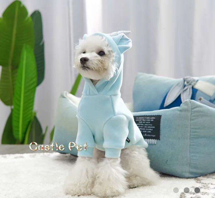 h2+Xif2nxdR3mZ48XMtpQGWwj7ObI7+DTt7h