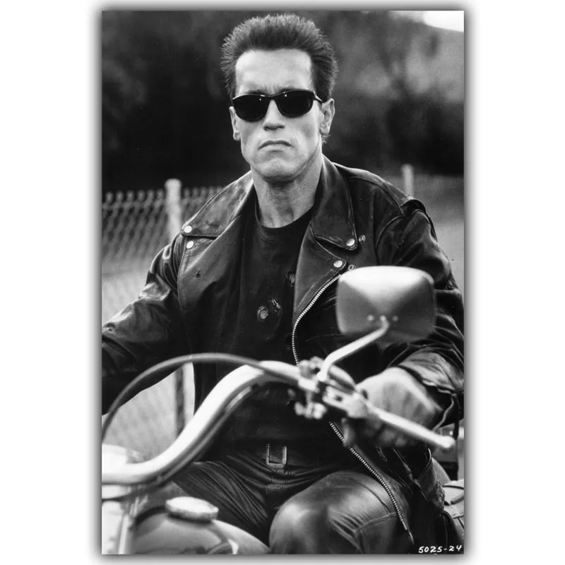 Terminator T-800 Арнольд Шварценеггер художественный Шелковый плакат печать 30x45 см 50x75