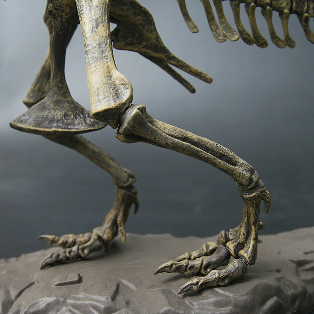 4D-Animal-Model-Toys-Simulation-Large-Dinosaur-Fossil-Tyrannosaurus-Assemble-the-skeleton-model-Toys-Home-Decoration (2)