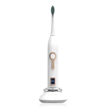 

Usb Rechargeable Electric Sonic Toothbrush Waterproof Electric Sonic Toothbrush Suspension Electric Toothbrush for Adult
