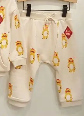 Розовый Г. Осенние детские леггинсы Bebe Одежда для мальчиков в Корейском стиле тонкие противомоскитные штаны для девочек хлопковые брюки с цветочным принтом детская пижама, Распродажа одежды - Цвет: Розовый