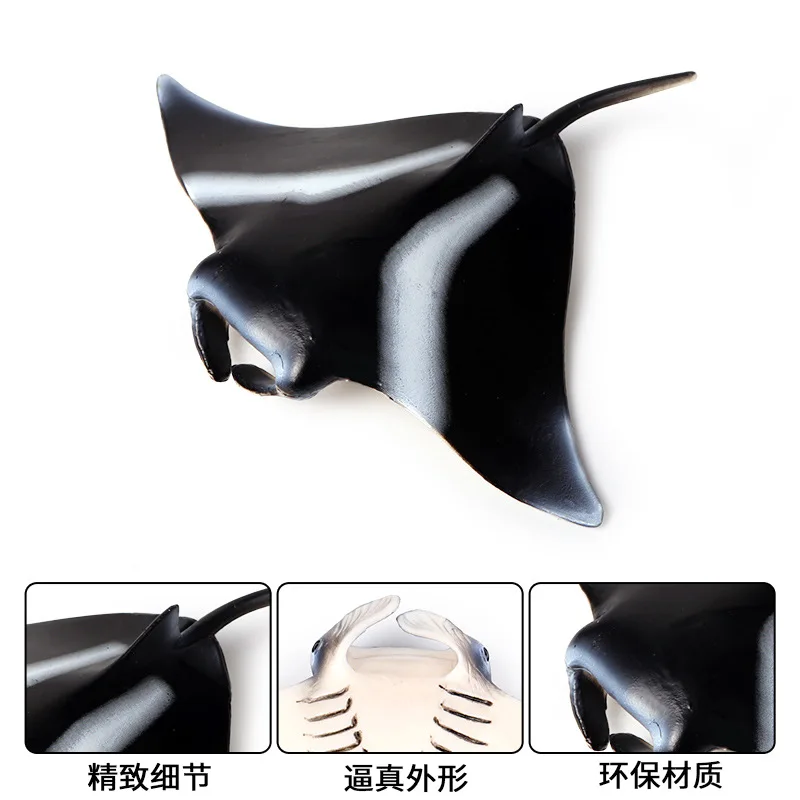 9691691303_1464955482