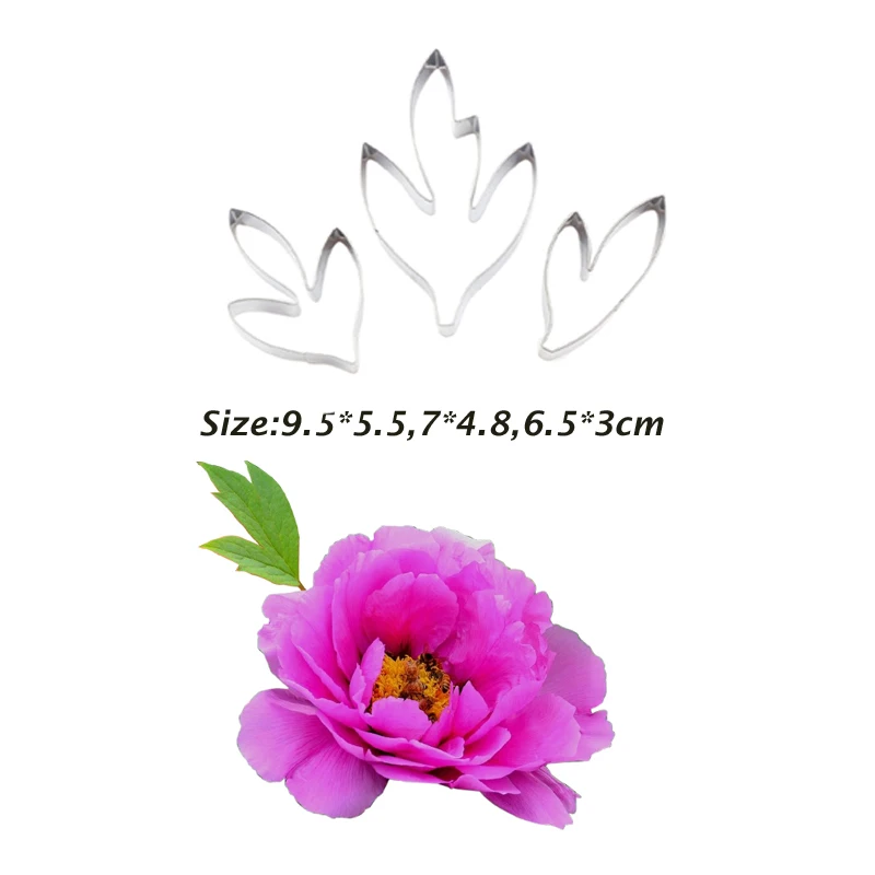 SSM004-CZ