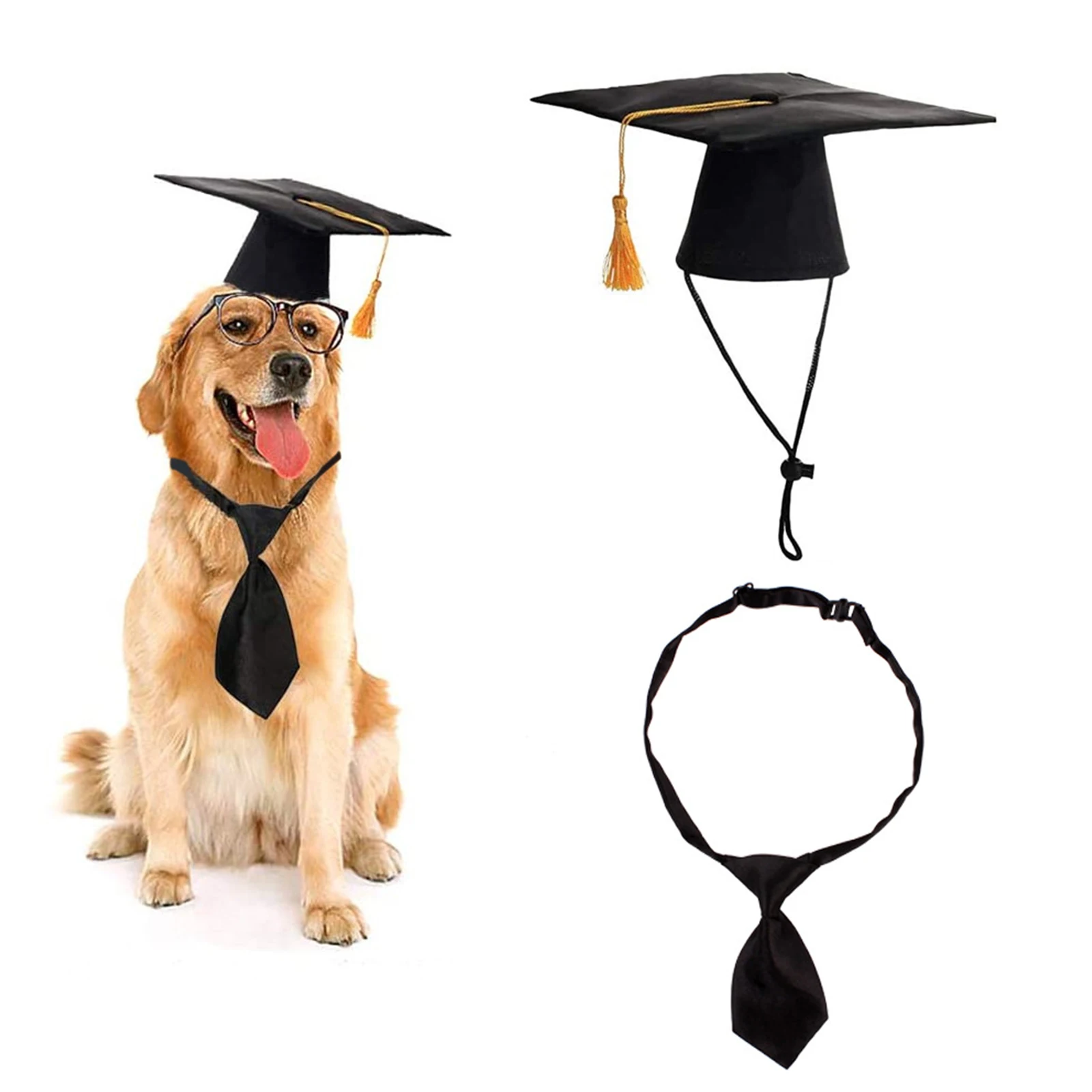 Dog and Cat Graduation Cap