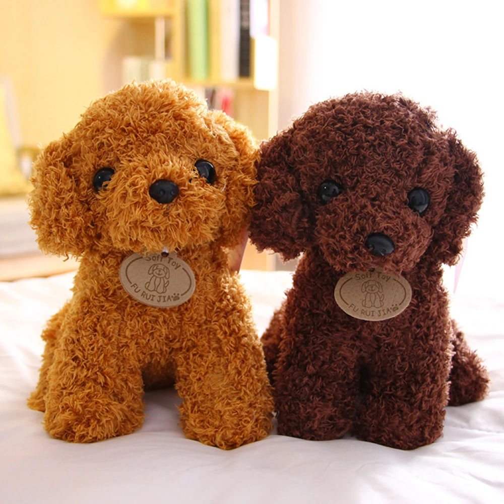 Realistic Teddy Dog Lucky|Real Life 