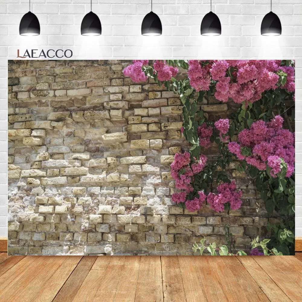 Laeacco    ܵ ׷  ʻȭ    ,  ,   Ʃ