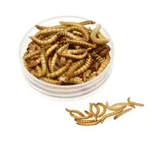 Натуральная сушеная мука для кормления питомцев, рептилий, цыплят, диких садовых птиц, аквариумных червей Натуральная сушеная мука для кормления питомцев, рептилий, цыплят, диких садовых птиц, аквариумных червей