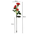 Red Rose