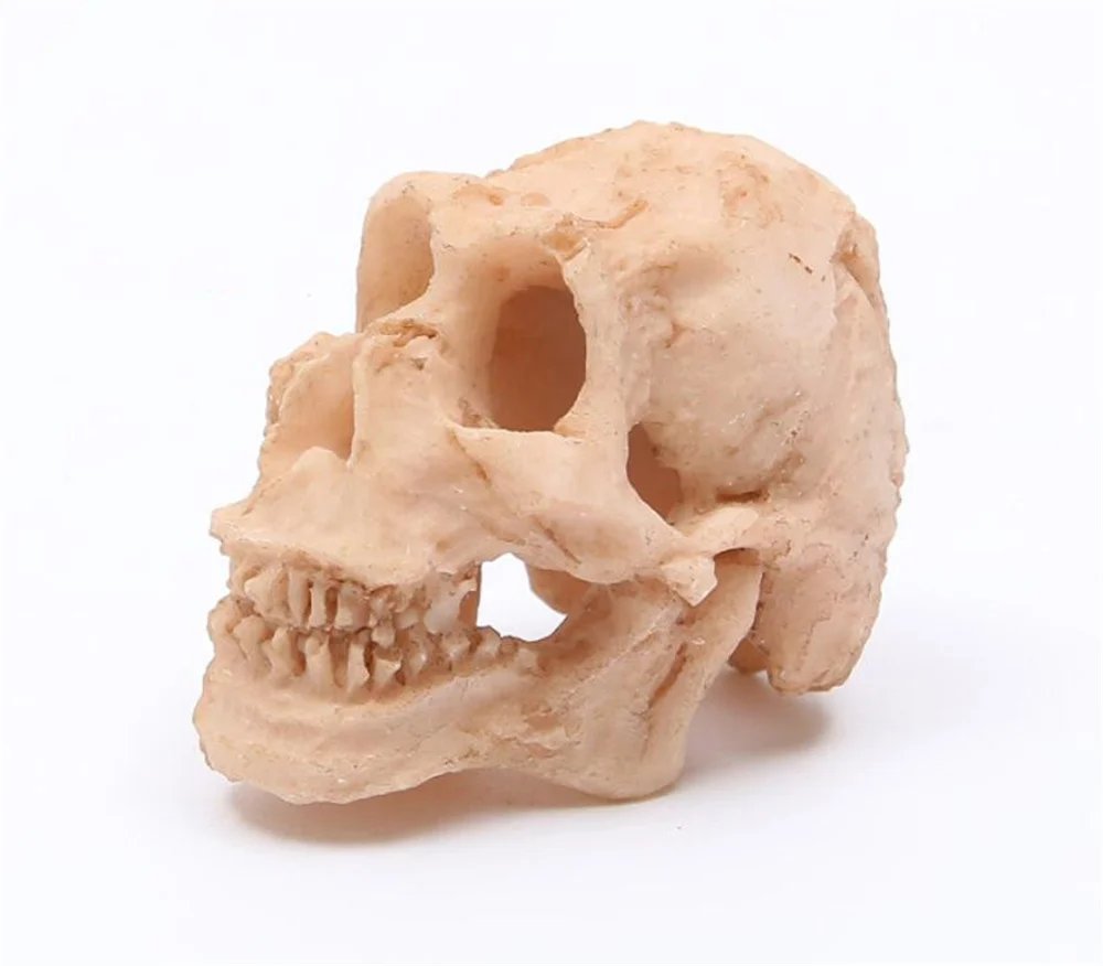 

20pcs/lot 1.8 inch Resin Skull Head Small craftmanship Terrifying Skeleton Ornament Halloween Prank Props