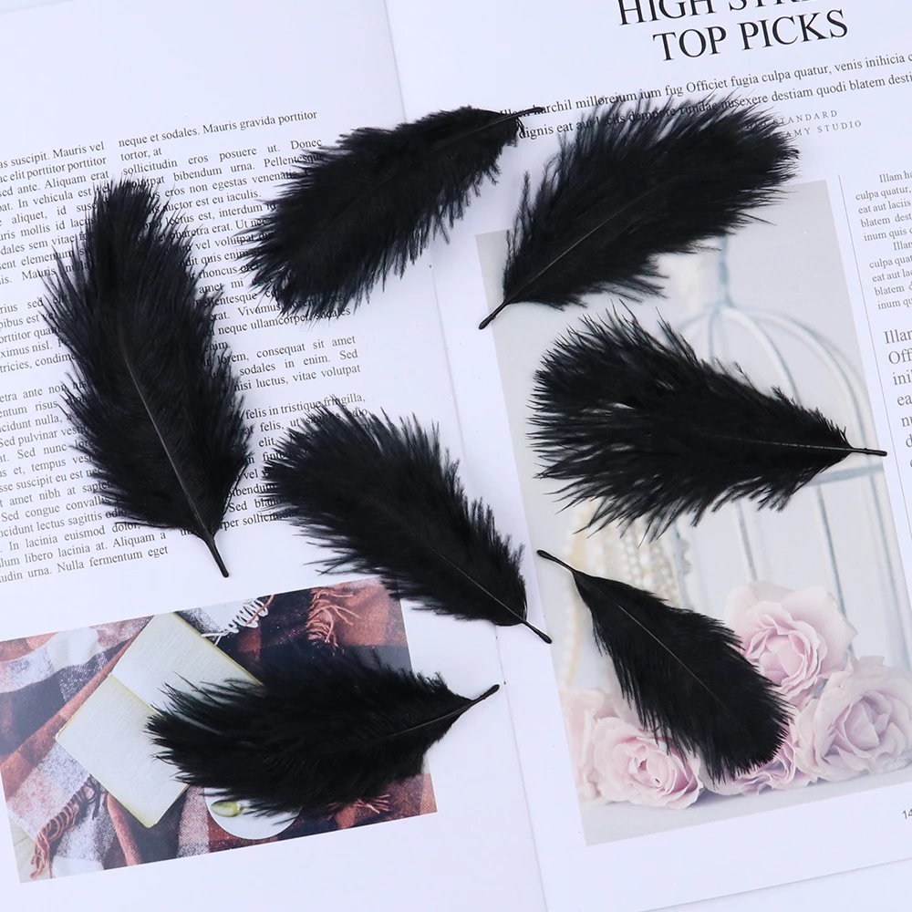 TS0105014 5-10cm black ostrich feathers 5