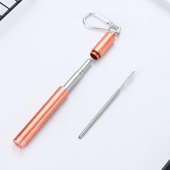 

2020 Portable Metal Drinking Straw Collapsible Reusable Straw Portable Stainless Steel Straw With Case And Brush For Travel #1
