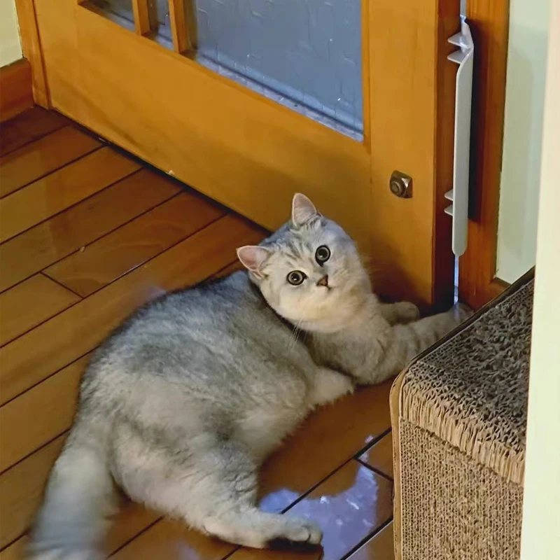 Universal Pet Door Opener Two-Way Access Controllable Entry Training Tool Without Drilling Easy Installation for Dog Cat