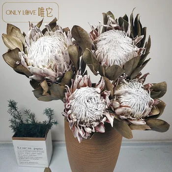 

Import dewar's hua Dried Flowers Bouquet gong zhu feng gan hua shu Dried Factory Wholesale Wedding Home Decoration