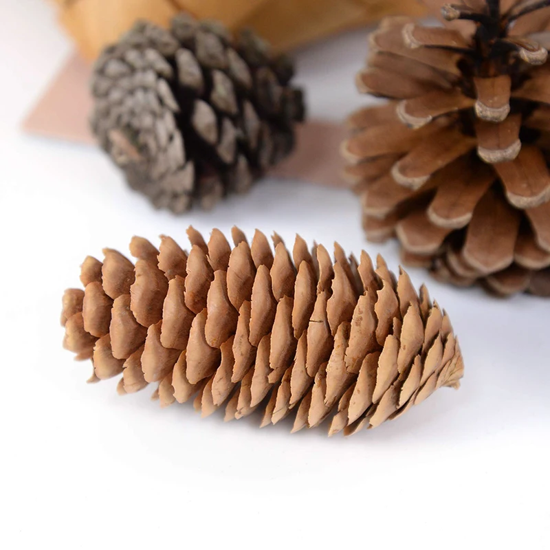 1-10pcs Natural Pine Nuts Fruit Dried Artificial Flower Pineapple Cones for Christmas DIY Garland Wreath Wedding Home Decoration