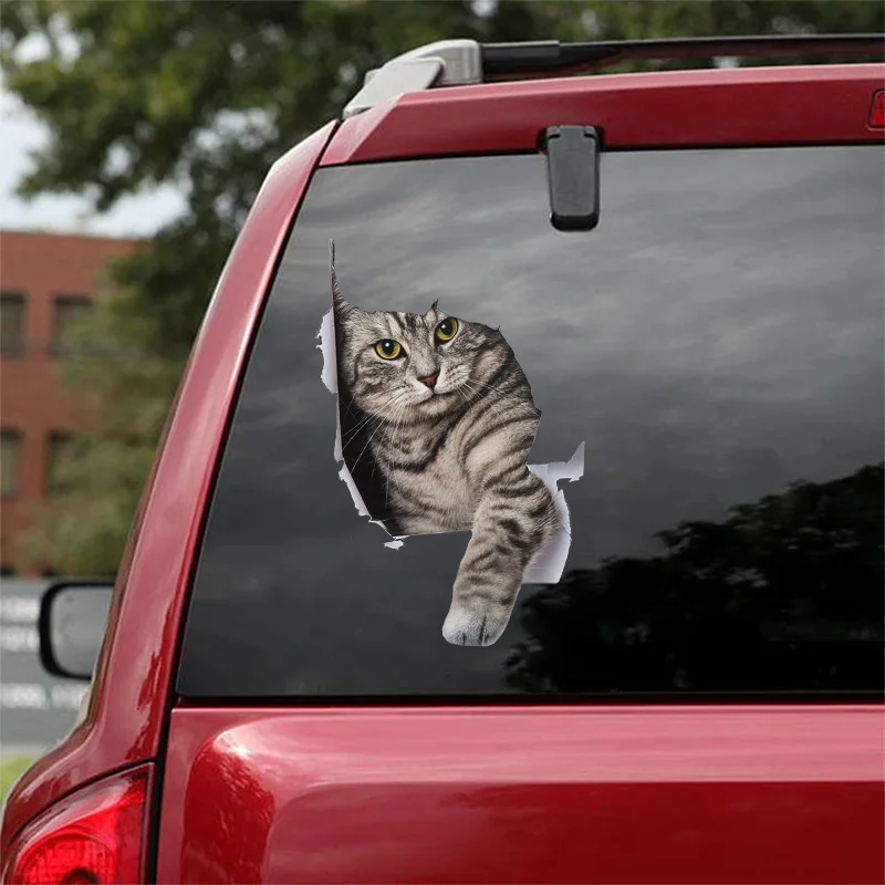 Wall Stickers 3D Dog Car Sticker Waterproof Cat Car Sticker Toilet Wall Stickers Removable Decals