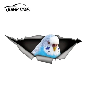 

Jump Time 13cm x 4.8cm Budgie bird Sticker Torn Metal Decal Wild Animal Funny Car Stickers Window Bumper 3D Car Styling