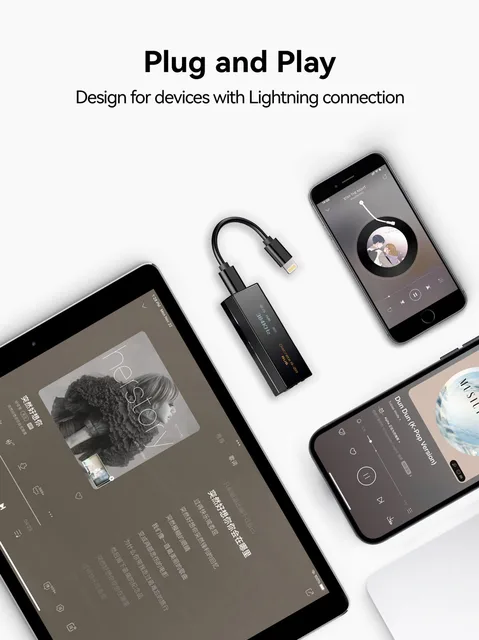 cayin RU7、ライトニングtoタイプCケーブル cayin RU7、ライトニングtoタイプCケーブル