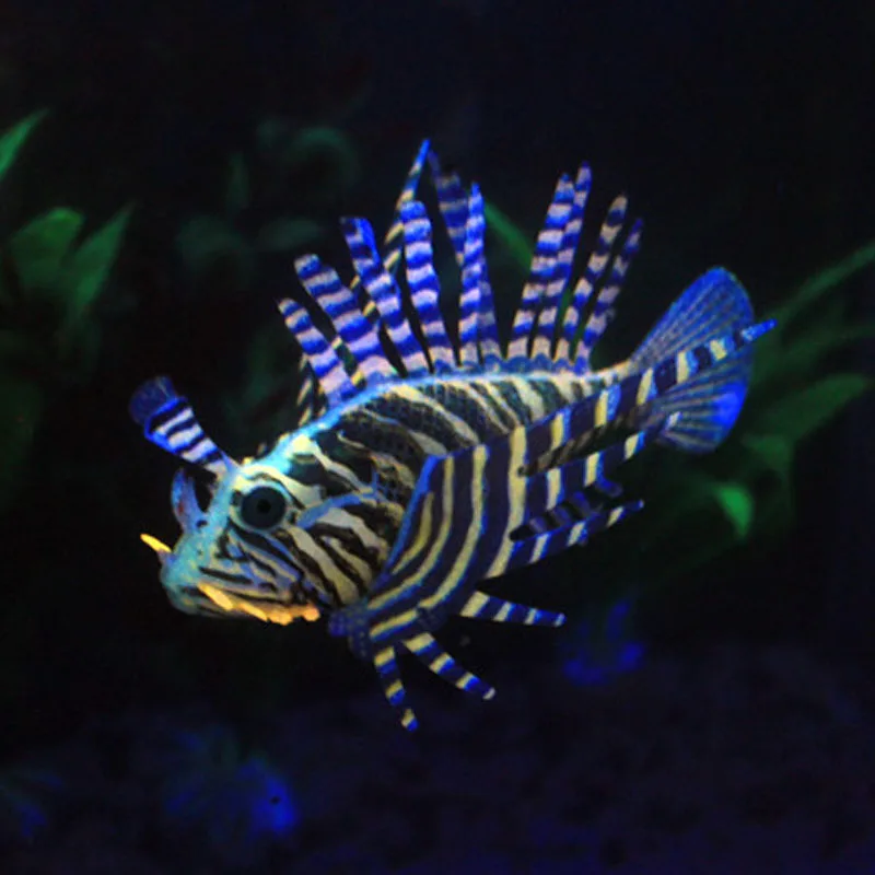 Fishbowl декоративные игрушки аквариум пластик моделирование ночник поддельная рыба цвет большой львицы