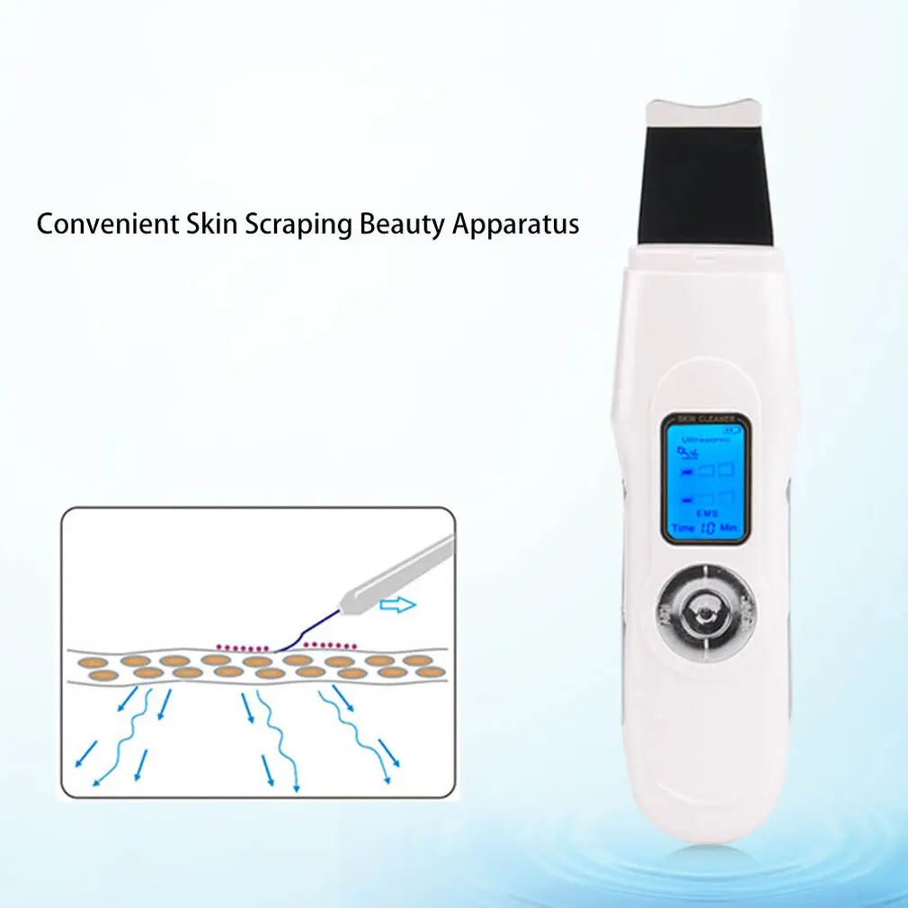USB Charging Skin ScrubberNew Multi function Ultrasonic Household Micro Current Ion Import and Export Beauty Tool 1 USB Charging Skin ScrubberNew Multi function Ultrasonic Household Micro Current Ion Import and Export Beauty Tool 4