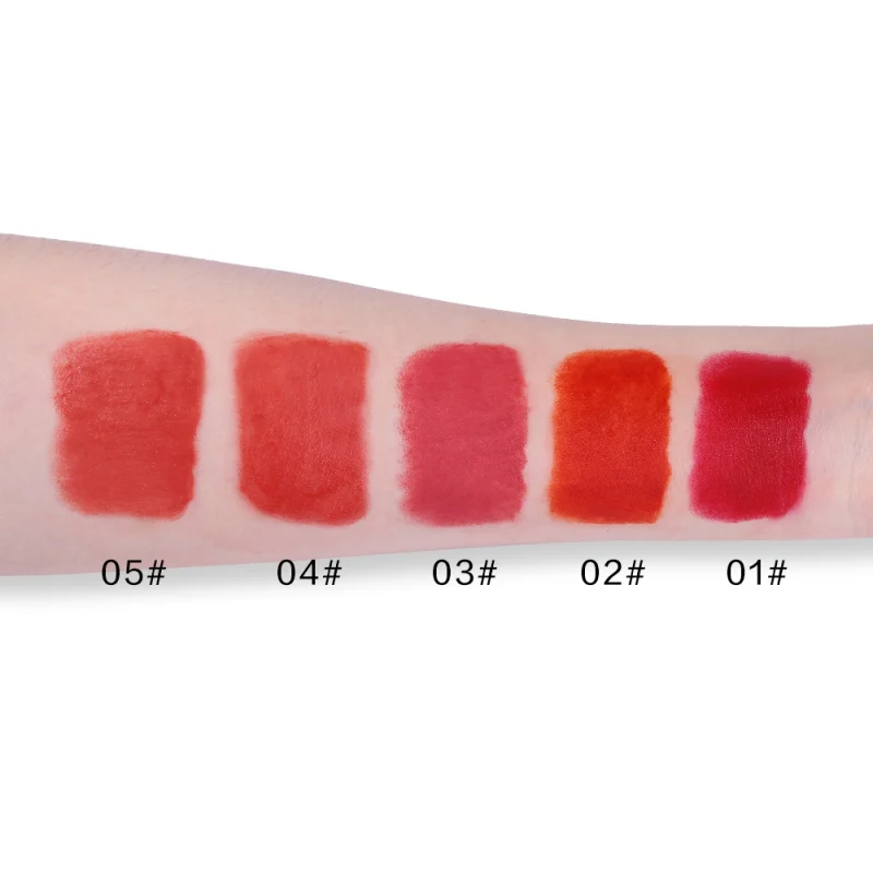 5 Colors Matte Lipstick Sexy Lasting Waterproof Non-Stick Cup Natural Small Gold Bares Lipstick Makeup Tool