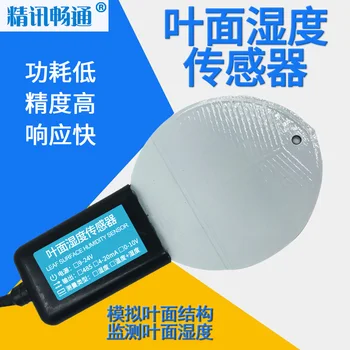 

Leaf Surface Temperature and Humidity Sensor Transmitter RS485 High Precision Leaf Surface Moisture Measurement Record Detector