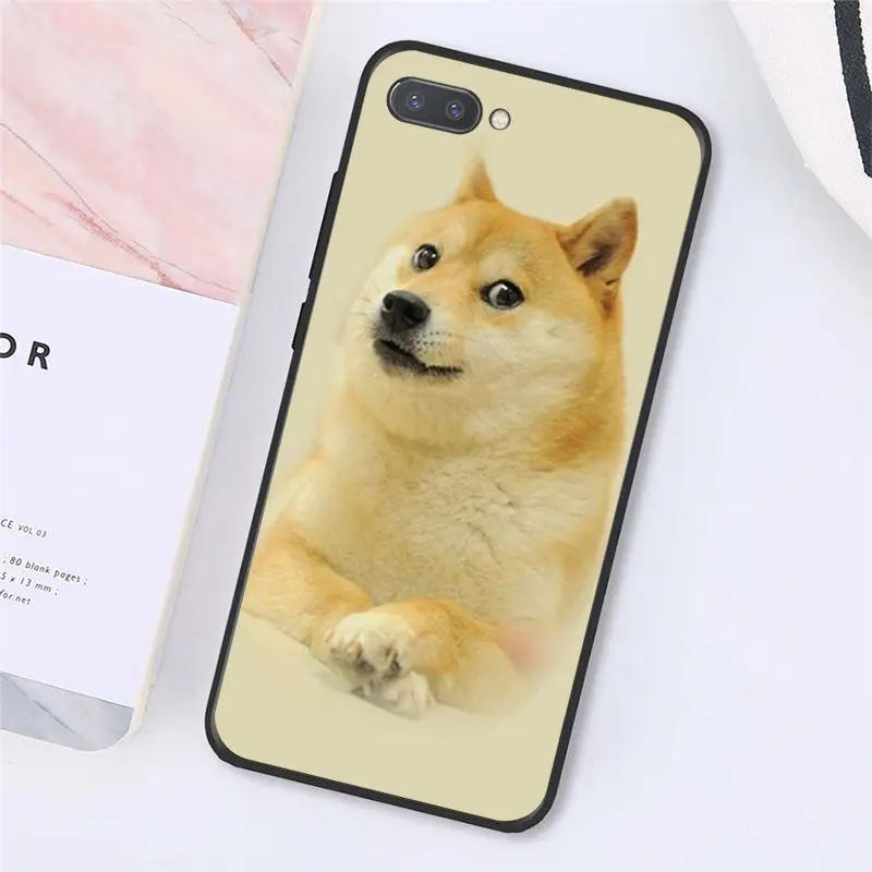 Doge Meme Kabosu Cute funny 