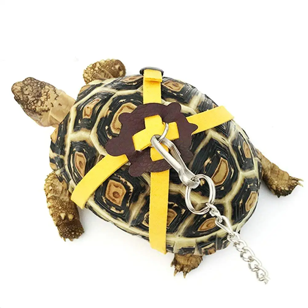 Pet Training Leashs Gerbil Cage Cotton Rope Harness Collar Hamster Turtle Lizard Traction Rope Small Pet Supplies Random Color pet collar rabbit harness and leash set rabbit harness set pet dog leash